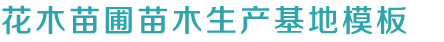 担保网67890com